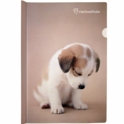 Фото - Скоросшиватель с планкой А4, RH 22041