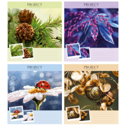 Зошит учнівський повноколірний 18 арк клітина,в асорт2023 (уп.32/ящ.372)