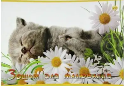 Фото - Альбом д/мал. 'Тетрада' 30арк. 120 г/м2 отр/cк. [21511] 20850