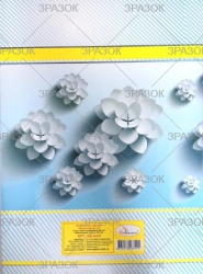 Набір білого картону  &quot;Білосніжний&quot; А4, 8 арк., 250 г/м2  (уп.20)