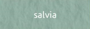 Фото - Папір для пастелі Tiziano A3 (29,7*42см), №13 salvia, 160г/м2, сіро-зелений, середнє зерно, Fabriano 44762 Фото - Папір для пастелі Tiziano A3 (29,7*42см), №13 salvia, 160г/м2, сіро-зелений, середнє зерно, Fabriano 44762