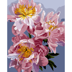 Картина за номерами SANTI &quot;Вишукані півонії&quot;, 40*50  см