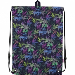 Фото - Сумка для взуття 600 Beauty-5 38408