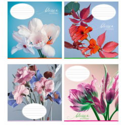 Зошит учнівський повноколірний 36 арк клітинка, в асорт 2023 (уп.16/ящ.256)