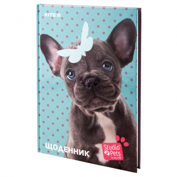 Фото - Щоденник шкільний, тверда обкл, SP-2 46480