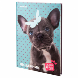 Щоденник шкільний, тверда обкл, SP-2