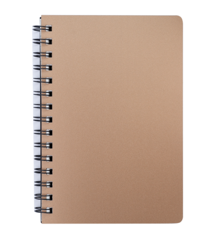 Фото - Зошит на пружині 'STATUS' А5, 80арк.,кл., пластик.обкл., бронза 62604 Фото - Зошит на пружині 'STATUS' А5, 80арк.,кл., пластик.обкл., бронза 62604