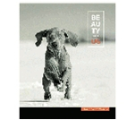 Фото - Зошит 60 арк. лінія 2024, в ас. ШКОЛЯРИК (уп.5/ящ.70) 10845