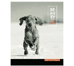 Фото - Зошит 60 арк. лінія 2024, в ас. ШКОЛЯРИК (уп.5/ящ.70) 10845