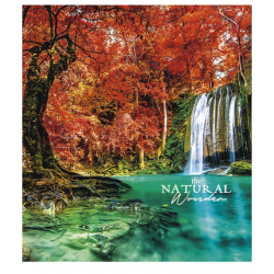 Фото - Зошит 60арк. Лінія 2024, в ас. STAR УФ-лак (уп.10) 46915