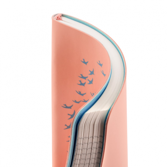 Фото - Книга записна Partner Soft Mini Birds,115*160, 80арк, кл. 47113