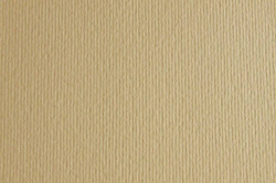 Фото - Папір для дизайну Elle Erre А4 (21*29,7см), №01 panna, 220г/м2, бежевий, дві текстури, Fabriano 44797