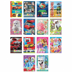 Фото - Папка для зошитів на гумках В5 кольор. ламін., паліт. картон (уп.10) 379