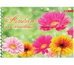 Фото - Альбом для малювання 50 арк. обкл. кол, крейд.цел. картон 'Аляска', УФлак, офсет 160 (фін) г/м2,пруж 284