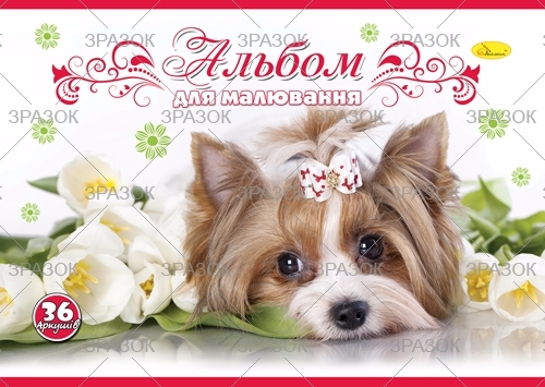 Фото - Альбом для малювання 36 арк.на спіралі (гліттер), Преміум 120 г/м2,(уп.16) 41889