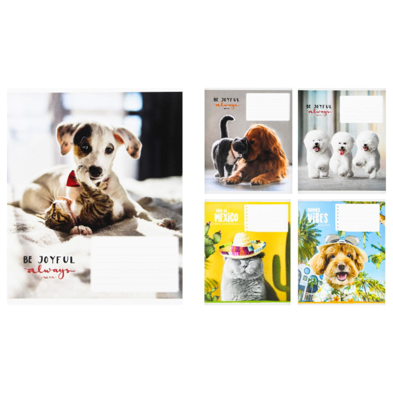 Фото - Зошит 18арк. клітинка 2024, в ас. ШКОЛЯРИК (уп.25) 53037