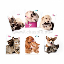 Фото - Блокнот дитячий 83x60mm, 60g, 40 л, Котики-Песики /48 в дисплеї/ 35177