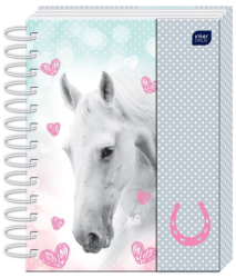 Фото - Блокнот , B6,100 л,тверда обкл., магнітна застібка, асорті 63832