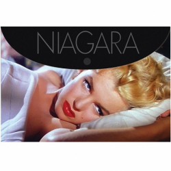 Фото - Папка на кнопці  А4, MR (уп.12) 22031