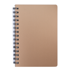 Книжка записн. на пруж. &quot;STATUS&quot; А6, 80арк.,кл., пластик.обкл., бронза