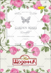 Фото - Щоденник учнівський 'Сендвіч' (друк 4+4, блок-офсет 65 г/м2) 'АП' (уп.16) 2397