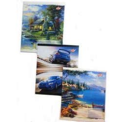 Зошит 24арк. Клітина 2024, в ас. STAR  (уп.25)