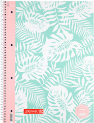 Коледж-блок А4 Premium, кліт., 80 арк., Mint