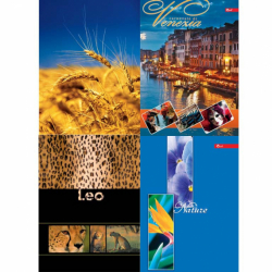 Фото - Зошит А5 500 арк тв. палітурка офс 455