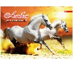 Фото - Альбом для рисования 24 л. обл.цвет,мел. картон,блок офсет имп. 120г/м2 клей (уп.20) 275