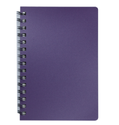 Книжка записн. на пруж. &quot;STATUS&quot; А6, 80арк.,кл., пластик.обкл., чароїт