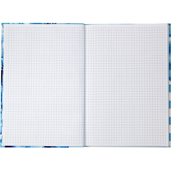Фото - Книга записна інтегр. обкл. В5, 80арк. кл Aquarelle 44401