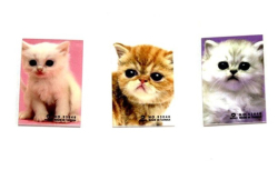 Фото - Блокнот дитячий 63x42mm, 60g, 35 л, Котики /108 в дісплеї/ 35175