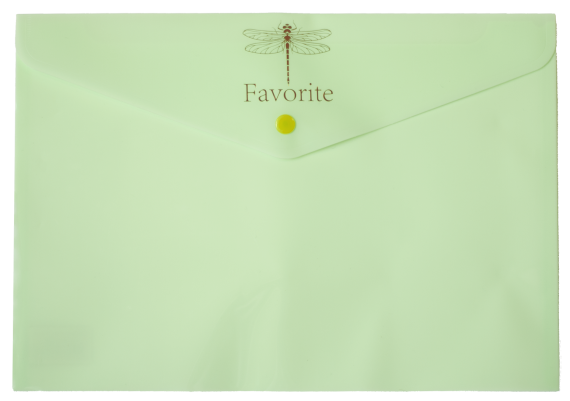 Фото - Папка-конверт на кнопці FAVOURITE, PASTEL, А4, м'ятна 63355