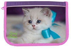Фото - Пенал 1-яр.,пустий,'Fancy Kitten', 210/70D PL, 98004, CLASS 39236