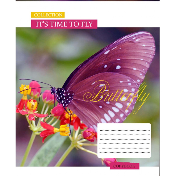 Фото - А5/18 кл. 1В ForeTime to fly, зошит учнів. 58340 Фото - А5/18 кл. 1В ForeTime to fly, зошит учнів. 58340