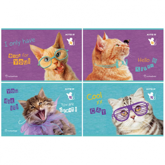 Фото - Зошит для малювання, 24 арк., скоба, RH (уп.8) 45633 Фото - Зошит для малювання, 24 арк., скоба, RH (уп.8) 45633