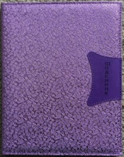 Фото - Щоденник шкільний SD814, 170*213 мм, обкладинка кожзам, 48аркушів 45804