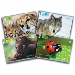 Фото - Зошит для мал., 30арк., спір., 120г/м2, лам. AP 32190