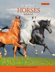 Тетрадь А5/144 пл.обл. Herd of horses. Calm YES