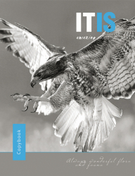 Фото - Тетрадь А5/144 пл.обл. Bird fly YES 41121