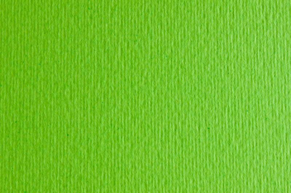 Фото - Папір для дизайну Elle Erre А3 (29,7*42см), №10 verde picello, 220г/м2, салатовий, Fabriano 45521