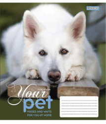 А5/48 кл. 1В Dog loyality, зошит для записів