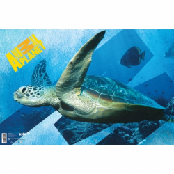 Фото - Підкладка настільна, 60*40см. AP 29075