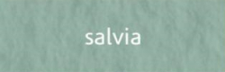 Папір для пастелі Tiziano A3 (29,7*42см), №13 salvia, 160г/м2, сіро-зелений, середнє зерно, Fabriano