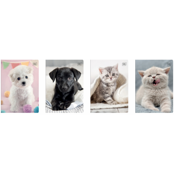 Фото - Зошит шкільний, А5, 12 # I lOVE PETS (уп.20) 57007 Фото - Зошит шкільний, А5, 12 # I lOVE PETS (уп.20) 57007