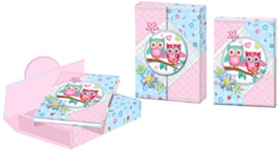 Фото - Блокнот дитячий на замочку в подар.коробочці на магніті 170x125x30mm, 70g, 56 л, совки 36309