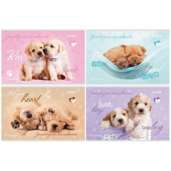 Фото - Зошит для малювання, 12 арк., скоба, RH (уп.20) 45629