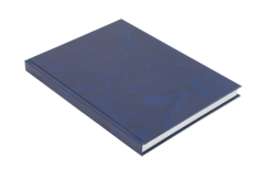 Фото - Книга обліку 192арк/кліт,бумвініл, оф.(тв. обл), А4, асорті 8641