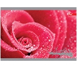 Альбом для малювання 50л/160г/м2 планшет УФ лак,+золото (срібло) (уп.8)