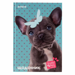 Щоденник шкільний, тверда обкл, SP-2